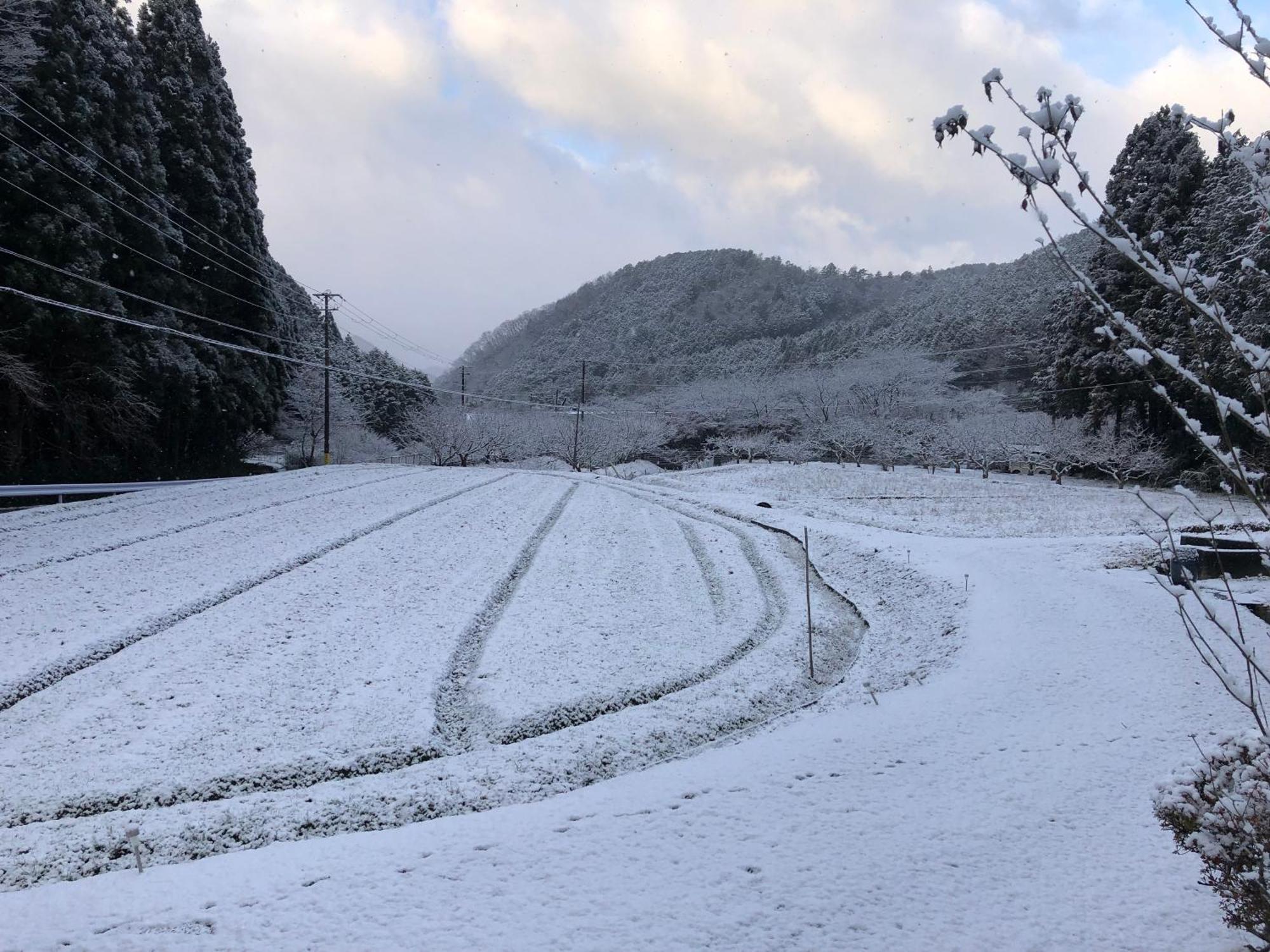 Satoyama Hotel Kanenone Tamba Maibara Luaran gambar