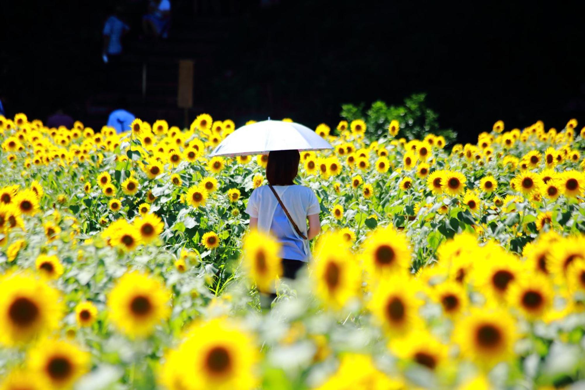 Satoyama Hotel Kanenone Tamba Maibara Luaran gambar
