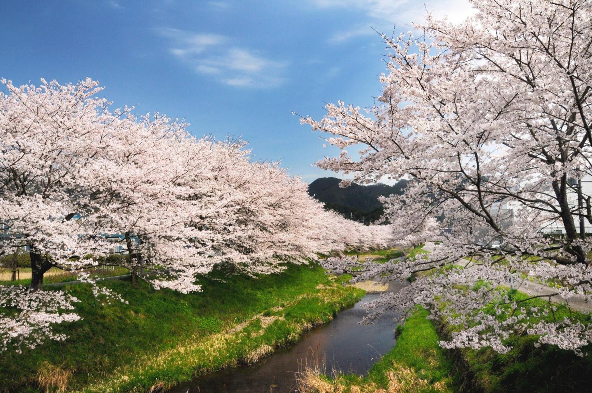Satoyama Hotel Kanenone Tamba Maibara Luaran gambar