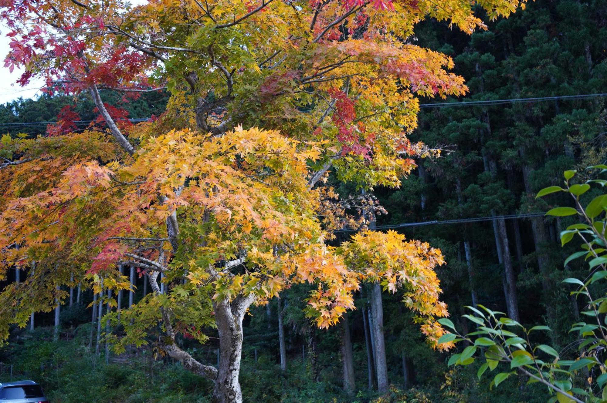 Satoyama Hotel Kanenone Tamba Maibara Luaran gambar