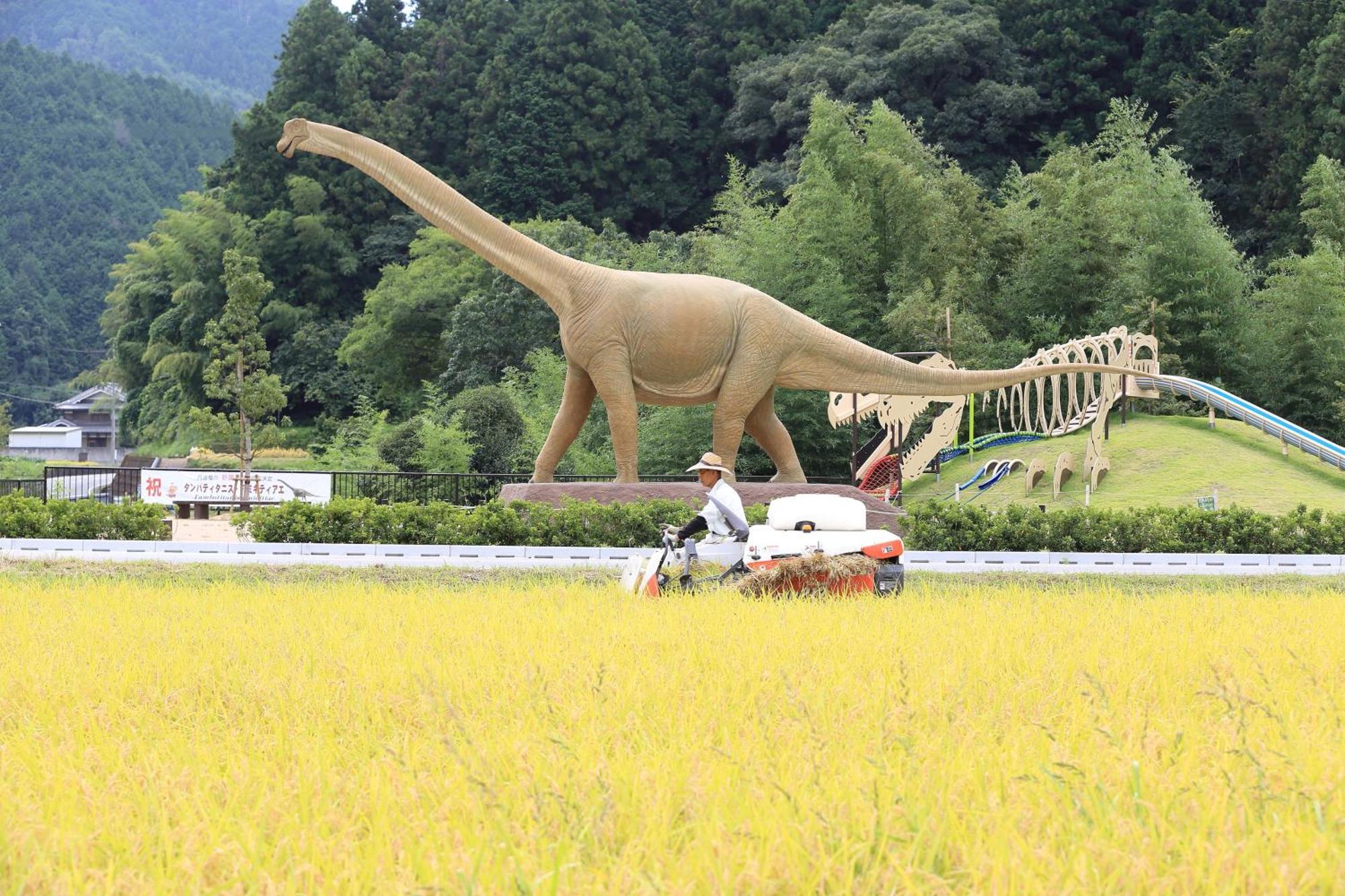 Satoyama Hotel Kanenone Tamba Maibara Luaran gambar