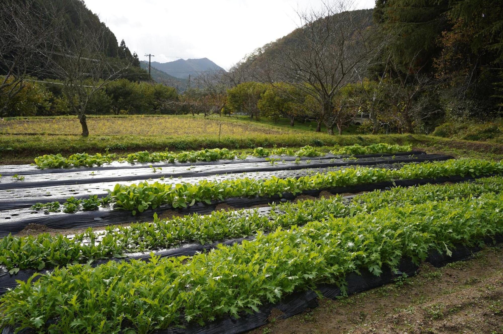 Satoyama Hotel Kanenone Tamba Maibara Luaran gambar