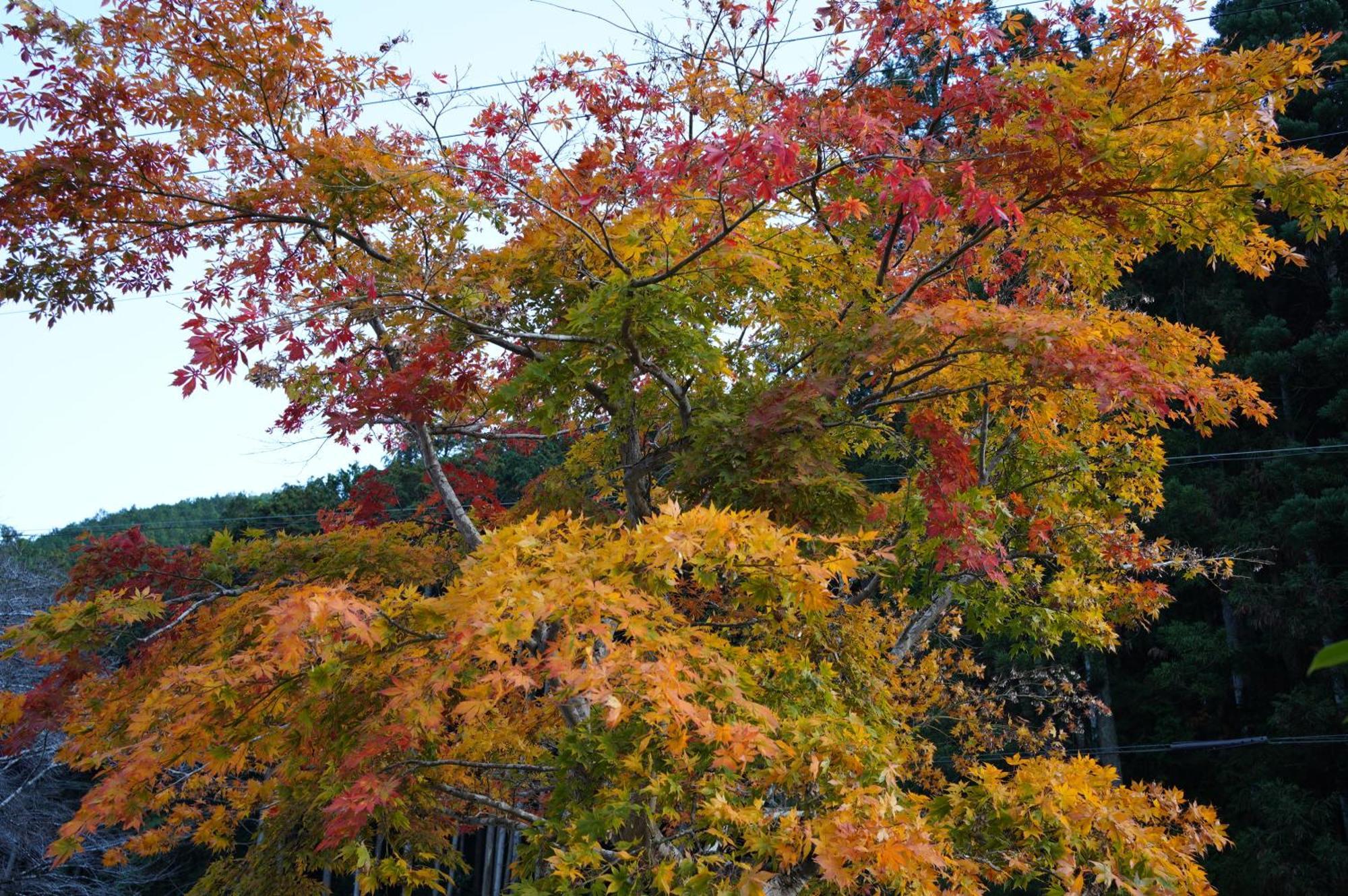 Satoyama Hotel Kanenone Tamba Maibara Luaran gambar