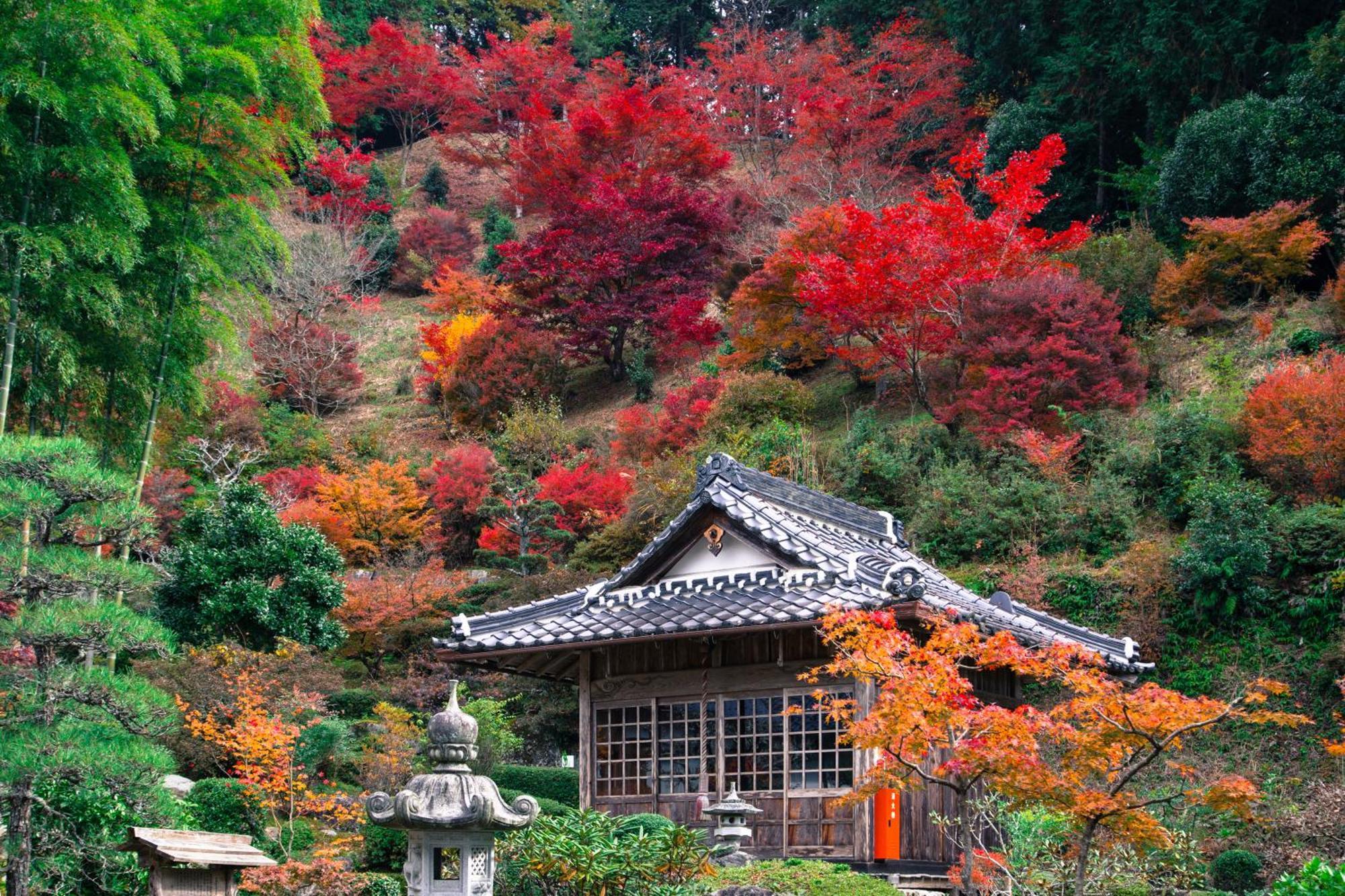 Satoyama Hotel Kanenone Tamba Maibara Luaran gambar