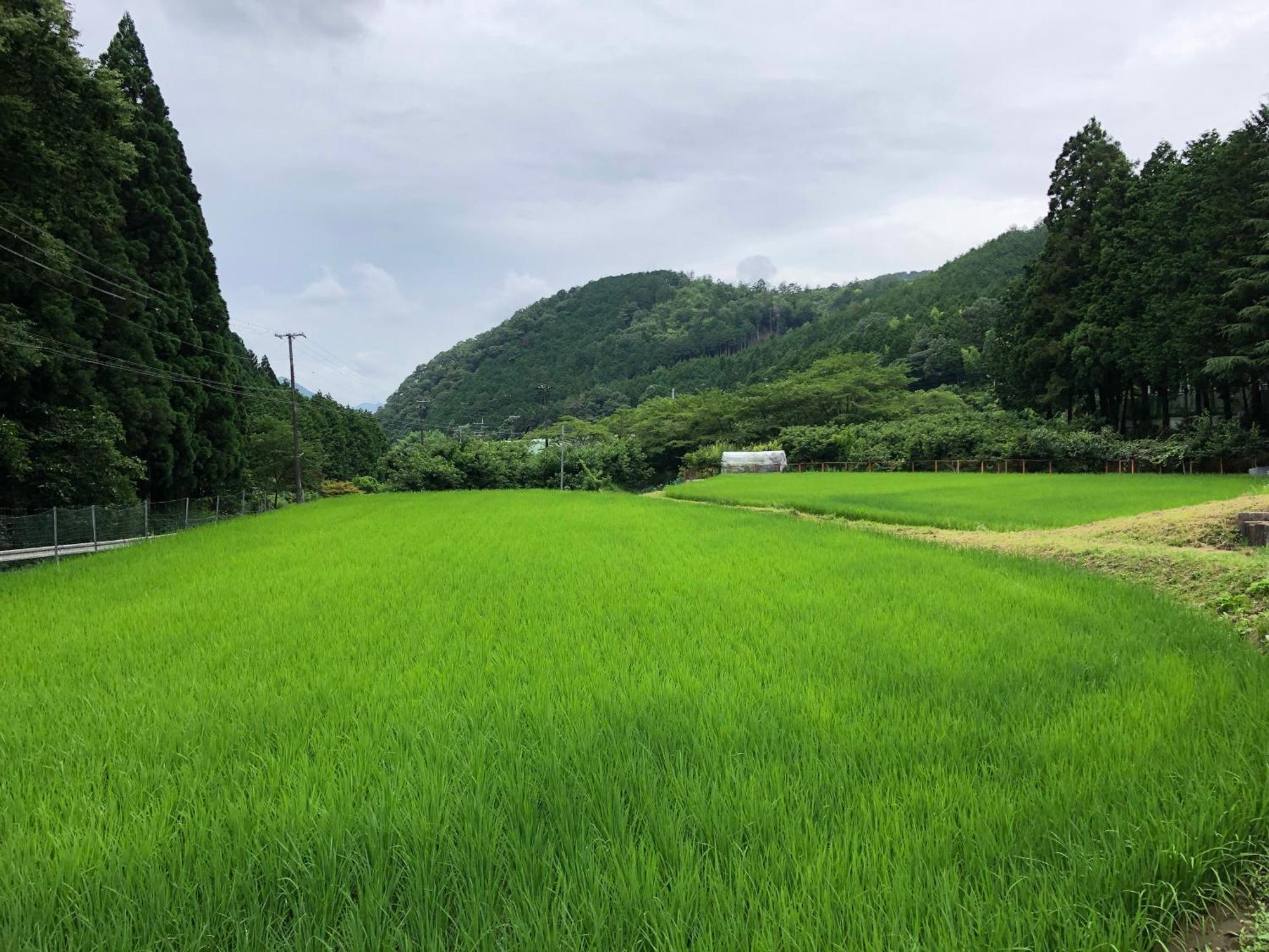 Satoyama Hotel Kanenone Tamba Maibara Luaran gambar