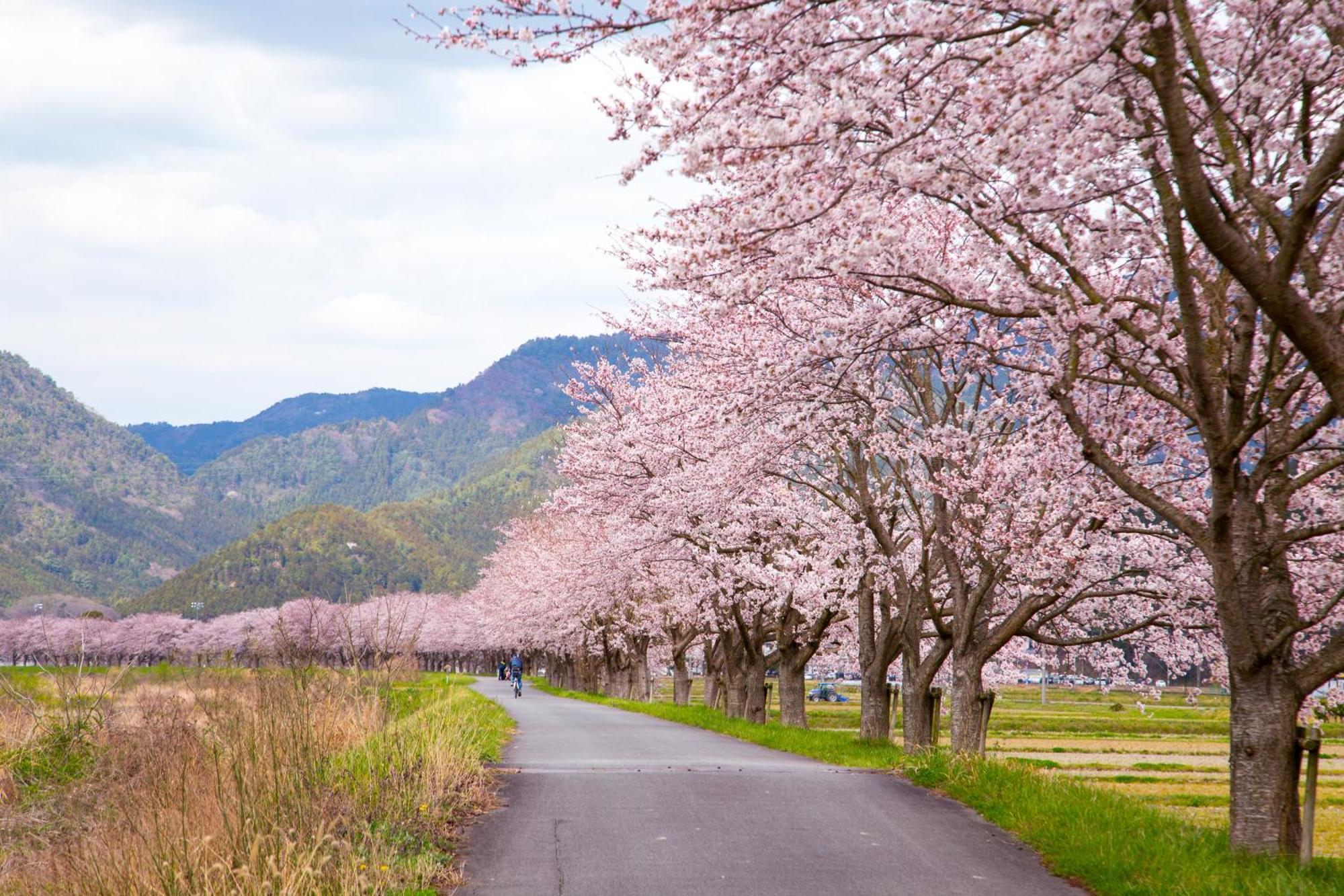 Satoyama Hotel Kanenone Tamba Maibara Luaran gambar