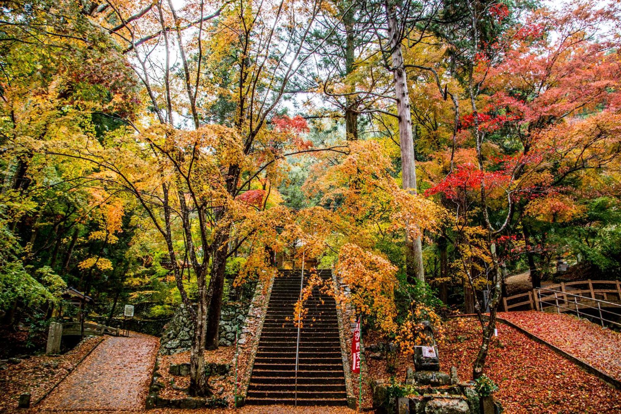 Satoyama Hotel Kanenone Tamba Maibara Luaran gambar