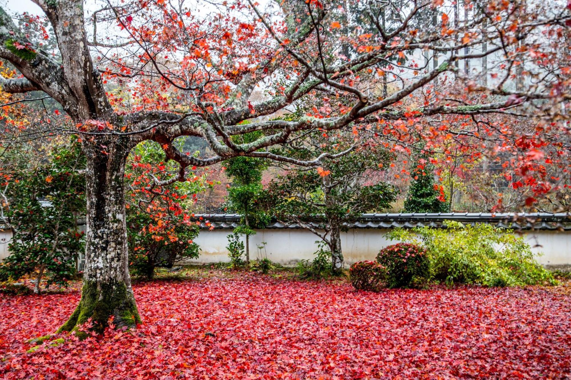 Satoyama Hotel Kanenone Tamba Maibara Luaran gambar