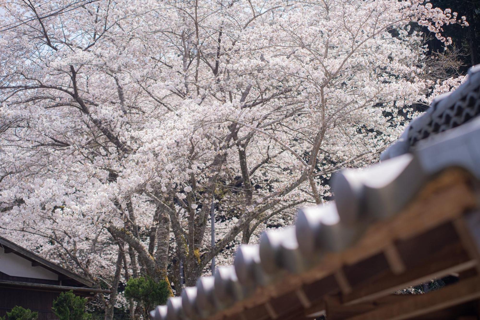 Satoyama Hotel Kanenone Tamba Maibara Luaran gambar